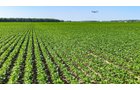 Property photo 61 - LAND AUCTION - 1,803.33+/-ACRES OFFERED IN 18 TRACTS IN KOSCIUSKO AND ELKHART COUNTY, INDIANA