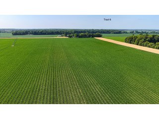 Property photo 46 - LAND AUCTION - 1,803.33+/-ACRES OFFERED IN 18 TRACTS IN KOSCIUSKO AND ELKHART COUNTY, INDIANA