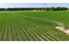 Property photo 47 - LAND AUCTION - 1,803.33+/-ACRES OFFERED IN 18 TRACTS IN KOSCIUSKO AND ELKHART COUNTY, INDIANA