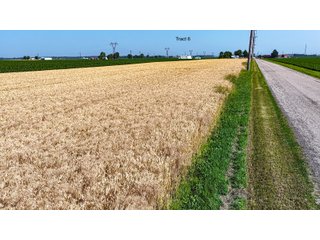 Property photo 53 - LAND AUCTION - 1,803.33+/-ACRES OFFERED IN 18 TRACTS IN KOSCIUSKO AND ELKHART COUNTY, INDIANA