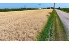 Property photo 53 - LAND AUCTION - 1,803.33+/-ACRES OFFERED IN 18 TRACTS IN KOSCIUSKO AND ELKHART COUNTY, INDIANA