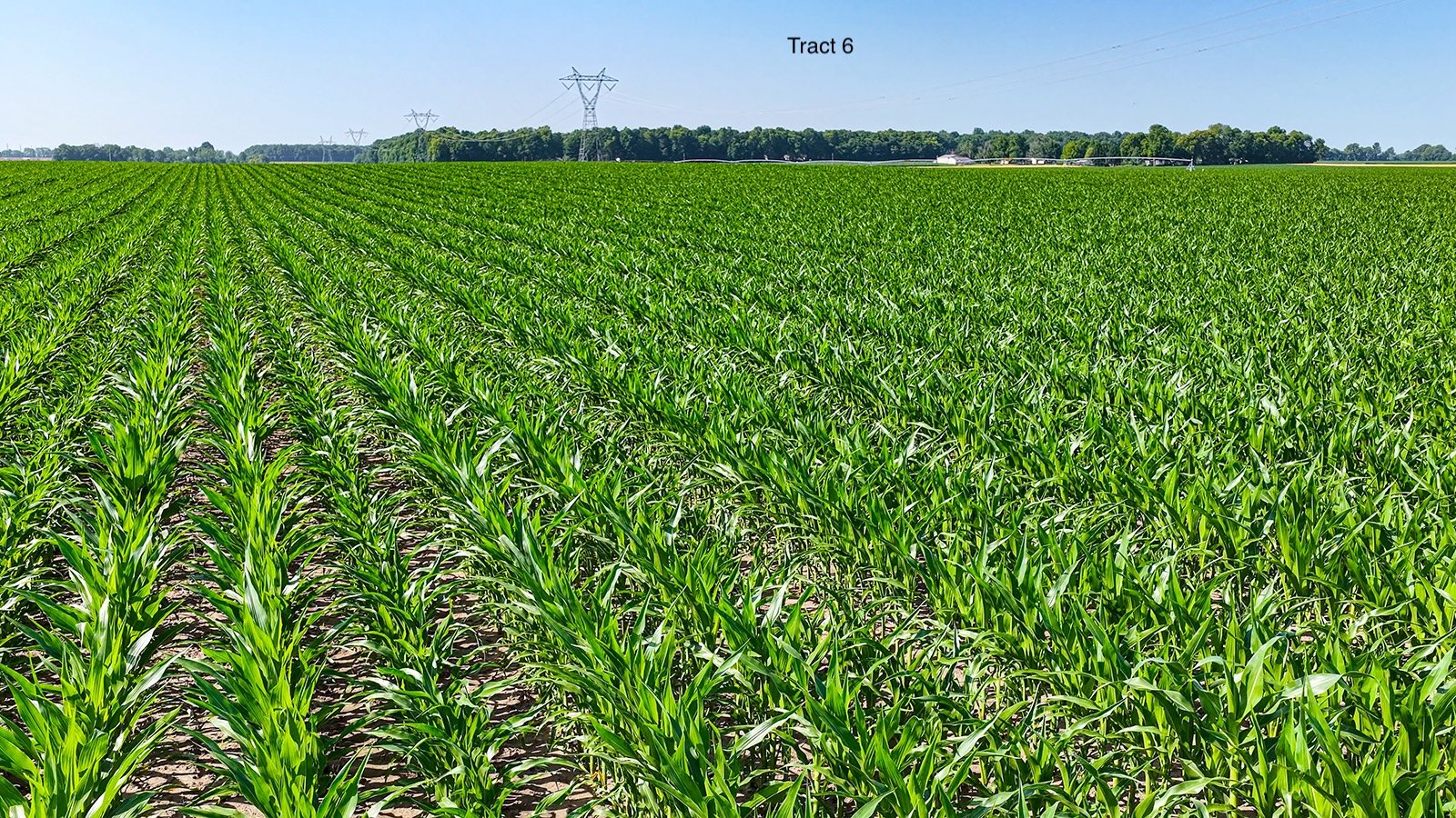 Property photo 49 - LAND AUCTION - 1,803.33+/-ACRES OFFERED IN 18 TRACTS IN KOSCIUSKO AND ELKHART COUNTY, INDIANA