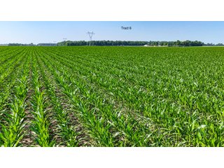 Property photo 49 - LAND AUCTION - 1,803.33+/-ACRES OFFERED IN 18 TRACTS IN KOSCIUSKO AND ELKHART COUNTY, INDIANA