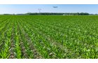 Property photo 49 - LAND AUCTION - 1,803.33+/-ACRES OFFERED IN 18 TRACTS IN KOSCIUSKO AND ELKHART COUNTY, INDIANA
