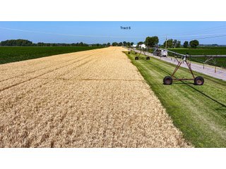 Property photo 50 - LAND AUCTION - 1,803.33+/-ACRES OFFERED IN 18 TRACTS IN KOSCIUSKO AND ELKHART COUNTY, INDIANA