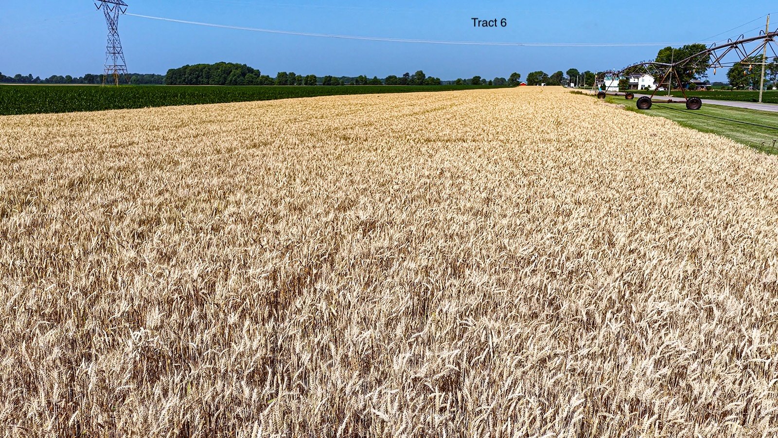 Property photo 51 - LAND AUCTION - 1,803.33+/-ACRES OFFERED IN 18 TRACTS IN KOSCIUSKO AND ELKHART COUNTY, INDIANA