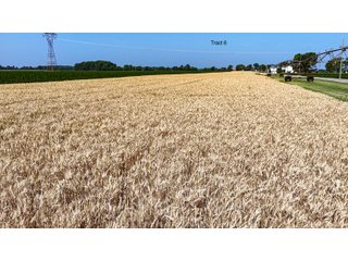 Property photo 51 - LAND AUCTION - 1,803.33+/-ACRES OFFERED IN 18 TRACTS IN KOSCIUSKO AND ELKHART COUNTY, INDIANA