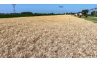 Property photo 51 - LAND AUCTION - 1,803.33+/-ACRES OFFERED IN 18 TRACTS IN KOSCIUSKO AND ELKHART COUNTY, INDIANA