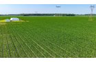 Property photo 48 - LAND AUCTION - 1,803.33+/-ACRES OFFERED IN 18 TRACTS IN KOSCIUSKO AND ELKHART COUNTY, INDIANA
