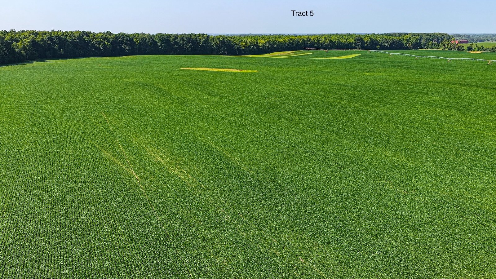 Property photo 36 - LAND AUCTION - 1,803.33+/-ACRES OFFERED IN 18 TRACTS IN KOSCIUSKO AND ELKHART COUNTY, INDIANA