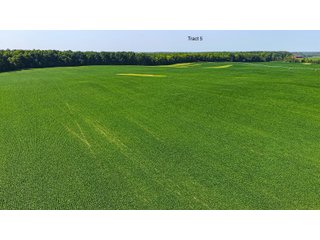 Property photo 36 - LAND AUCTION - 1,803.33+/-ACRES OFFERED IN 18 TRACTS IN KOSCIUSKO AND ELKHART COUNTY, INDIANA