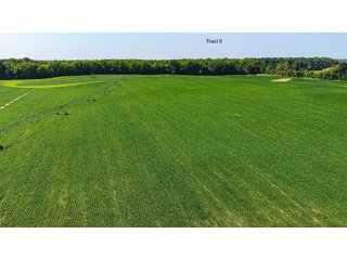 Property photo 39 - LAND AUCTION - 1,803.33+/-ACRES OFFERED IN 18 TRACTS IN KOSCIUSKO AND ELKHART COUNTY, INDIANA