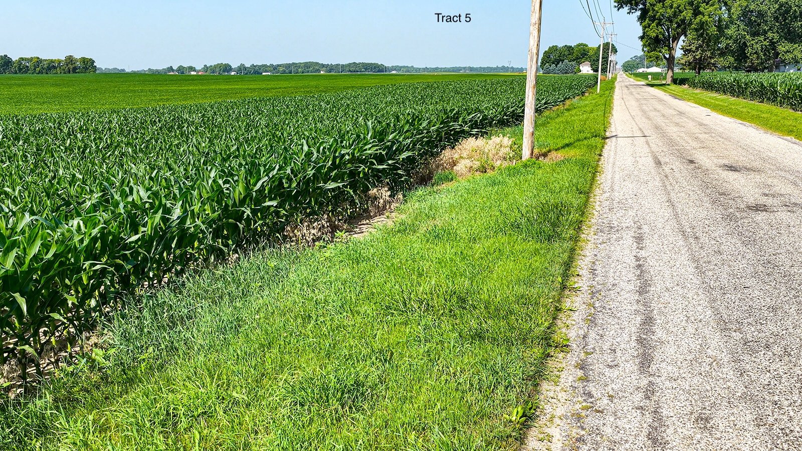 Property photo 42 - LAND AUCTION - 1,803.33+/-ACRES OFFERED IN 18 TRACTS IN KOSCIUSKO AND ELKHART COUNTY, INDIANA