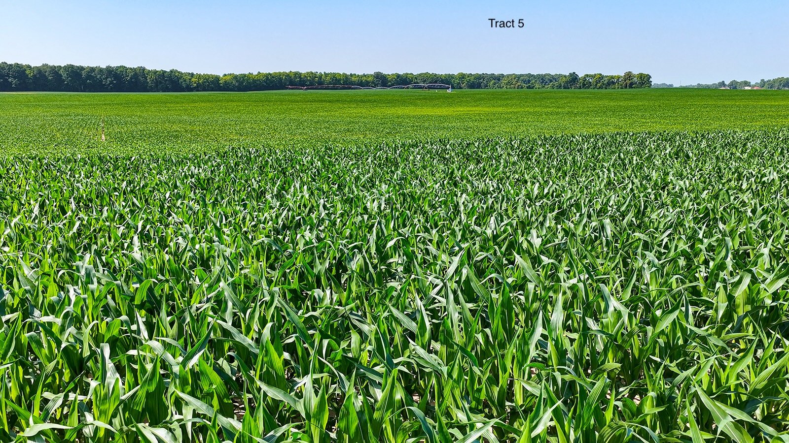 Property photo 41 - LAND AUCTION - 1,803.33+/-ACRES OFFERED IN 18 TRACTS IN KOSCIUSKO AND ELKHART COUNTY, INDIANA