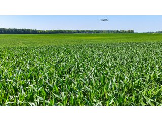 Property photo 41 - LAND AUCTION - 1,803.33+/-ACRES OFFERED IN 18 TRACTS IN KOSCIUSKO AND ELKHART COUNTY, INDIANA