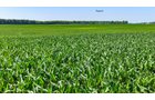 Property photo 41 - LAND AUCTION - 1,803.33+/-ACRES OFFERED IN 18 TRACTS IN KOSCIUSKO AND ELKHART COUNTY, INDIANA
