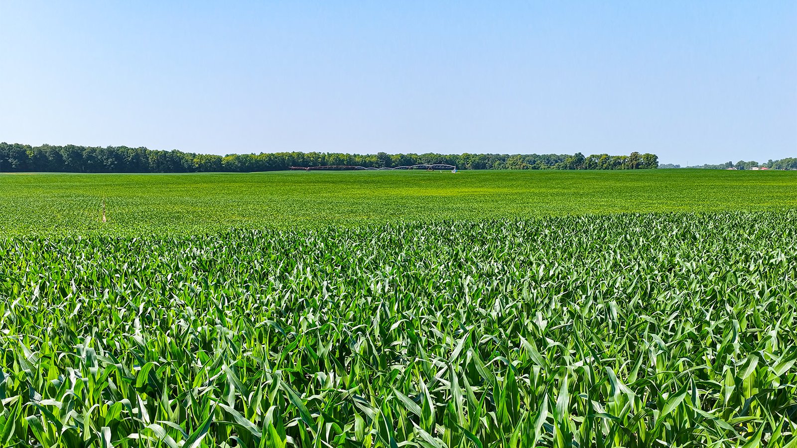 Property photo 6 - LAND AUCTION - 1,803.33+/-ACRES OFFERED IN 18 TRACTS IN KOSCIUSKO AND ELKHART COUNTY, INDIANA