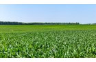 Property photo 6 - LAND AUCTION - 1,803.33+/-ACRES OFFERED IN 18 TRACTS IN KOSCIUSKO AND ELKHART COUNTY, INDIANA