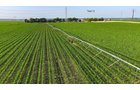 Property photo 111 - LAND AUCTION - 1,803.33+/-ACRES OFFERED IN 18 TRACTS IN KOSCIUSKO AND ELKHART COUNTY, INDIANA