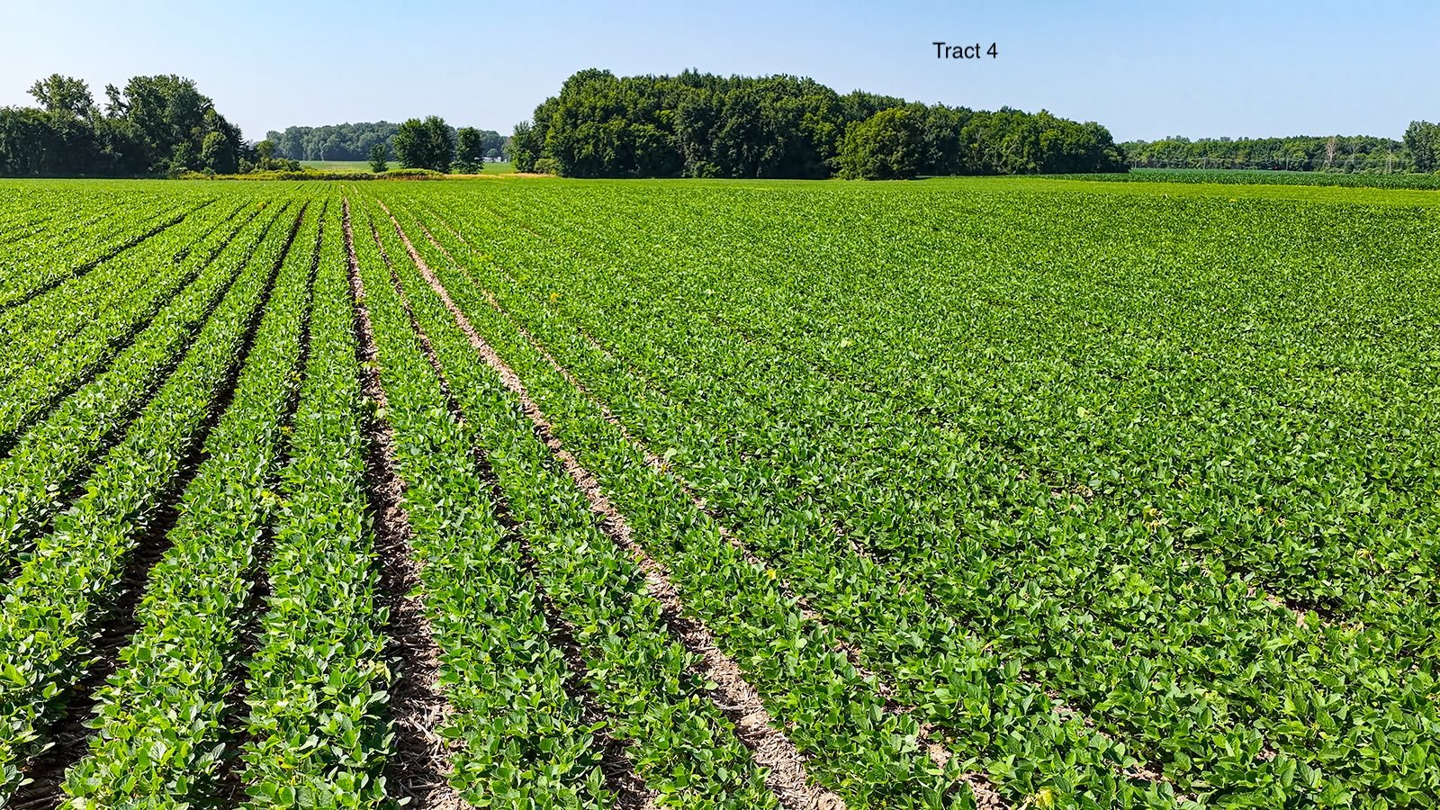 Property photo 32 - LAND AUCTION - 1,803.33+/-ACRES OFFERED IN 18 TRACTS IN KOSCIUSKO AND ELKHART COUNTY, INDIANA