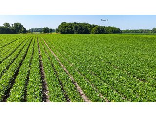 Property photo 32 - LAND AUCTION - 1,803.33+/-ACRES OFFERED IN 18 TRACTS IN KOSCIUSKO AND ELKHART COUNTY, INDIANA