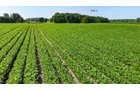 Property photo 32 - LAND AUCTION - 1,803.33+/-ACRES OFFERED IN 18 TRACTS IN KOSCIUSKO AND ELKHART COUNTY, INDIANA