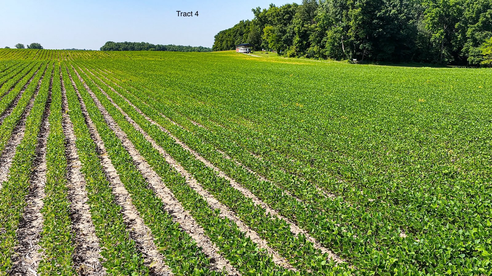 Property photo 34 - LAND AUCTION - 1,803.33+/-ACRES OFFERED IN 18 TRACTS IN KOSCIUSKO AND ELKHART COUNTY, INDIANA