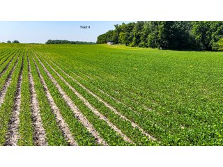 Property photo 34 - LAND AUCTION - 1,803.33+/-ACRES OFFERED IN 18 TRACTS IN KOSCIUSKO AND ELKHART COUNTY, INDIANA