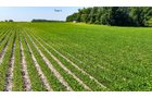 Property photo 34 - LAND AUCTION - 1,803.33+/-ACRES OFFERED IN 18 TRACTS IN KOSCIUSKO AND ELKHART COUNTY, INDIANA