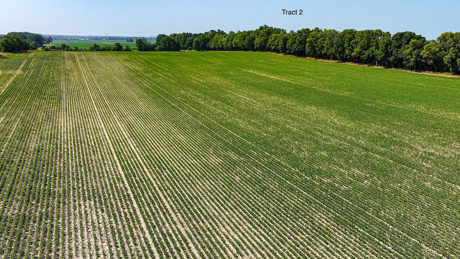 Property photo 17 - LAND AUCTION - 1,803.33+/-ACRES OFFERED IN 18 TRACTS IN KOSCIUSKO AND ELKHART COUNTY, INDIANA