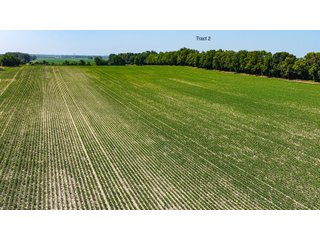 Property photo 17 - LAND AUCTION - 1,803.33+/-ACRES OFFERED IN 18 TRACTS IN KOSCIUSKO AND ELKHART COUNTY, INDIANA