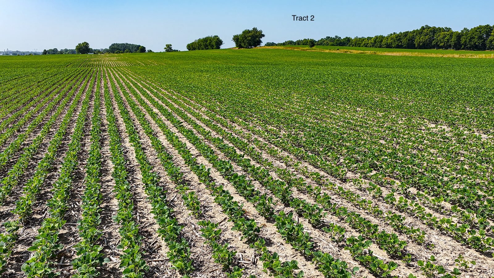 Property photo 19 - LAND AUCTION - 1,803.33+/-ACRES OFFERED IN 18 TRACTS IN KOSCIUSKO AND ELKHART COUNTY, INDIANA