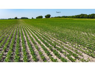 Property photo 19 - LAND AUCTION - 1,803.33+/-ACRES OFFERED IN 18 TRACTS IN KOSCIUSKO AND ELKHART COUNTY, INDIANA