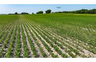 Property photo 19 - LAND AUCTION - 1,803.33+/-ACRES OFFERED IN 18 TRACTS IN KOSCIUSKO AND ELKHART COUNTY, INDIANA