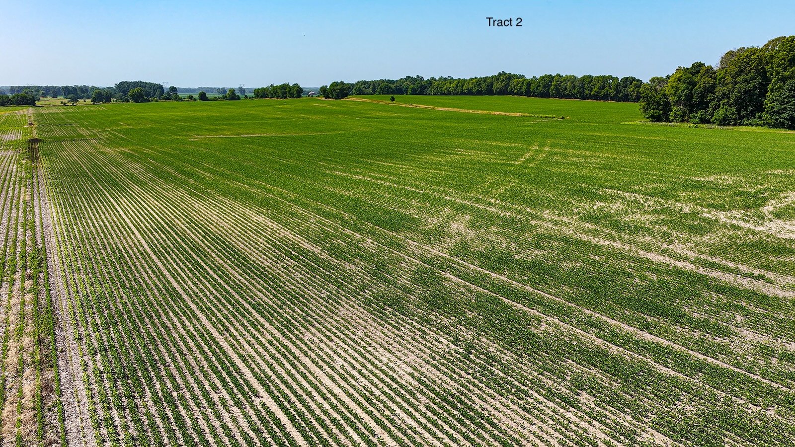 Property photo 20 - LAND AUCTION - 1,803.33+/-ACRES OFFERED IN 18 TRACTS IN KOSCIUSKO AND ELKHART COUNTY, INDIANA