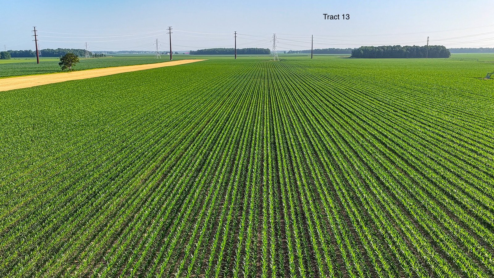Property photo 112 - LAND AUCTION - 1,803.33+/-ACRES OFFERED IN 18 TRACTS IN KOSCIUSKO AND ELKHART COUNTY, INDIANA