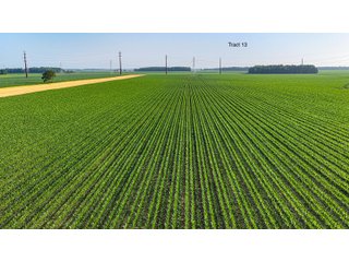 Property photo 112 - LAND AUCTION - 1,803.33+/-ACRES OFFERED IN 18 TRACTS IN KOSCIUSKO AND ELKHART COUNTY, INDIANA