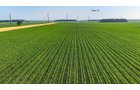 Property photo 112 - LAND AUCTION - 1,803.33+/-ACRES OFFERED IN 18 TRACTS IN KOSCIUSKO AND ELKHART COUNTY, INDIANA