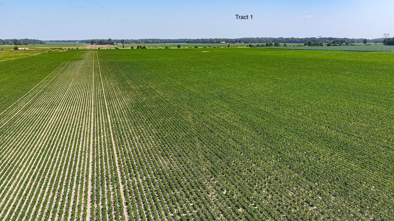 Property photo 10 - LAND AUCTION - 1,803.33+/-ACRES OFFERED IN 18 TRACTS IN KOSCIUSKO AND ELKHART COUNTY, INDIANA