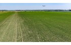Property photo 10 - LAND AUCTION - 1,803.33+/-ACRES OFFERED IN 18 TRACTS IN KOSCIUSKO AND ELKHART COUNTY, INDIANA