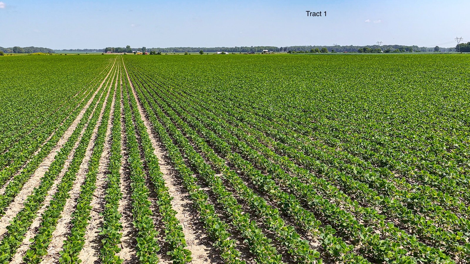 Property photo 11 - LAND AUCTION - 1,803.33+/-ACRES OFFERED IN 18 TRACTS IN KOSCIUSKO AND ELKHART COUNTY, INDIANA