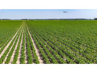Property photo 11 - LAND AUCTION - 1,803.33+/-ACRES OFFERED IN 18 TRACTS IN KOSCIUSKO AND ELKHART COUNTY, INDIANA