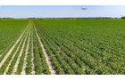Property photo 11 - LAND AUCTION - 1,803.33+/-ACRES OFFERED IN 18 TRACTS IN KOSCIUSKO AND ELKHART COUNTY, INDIANA