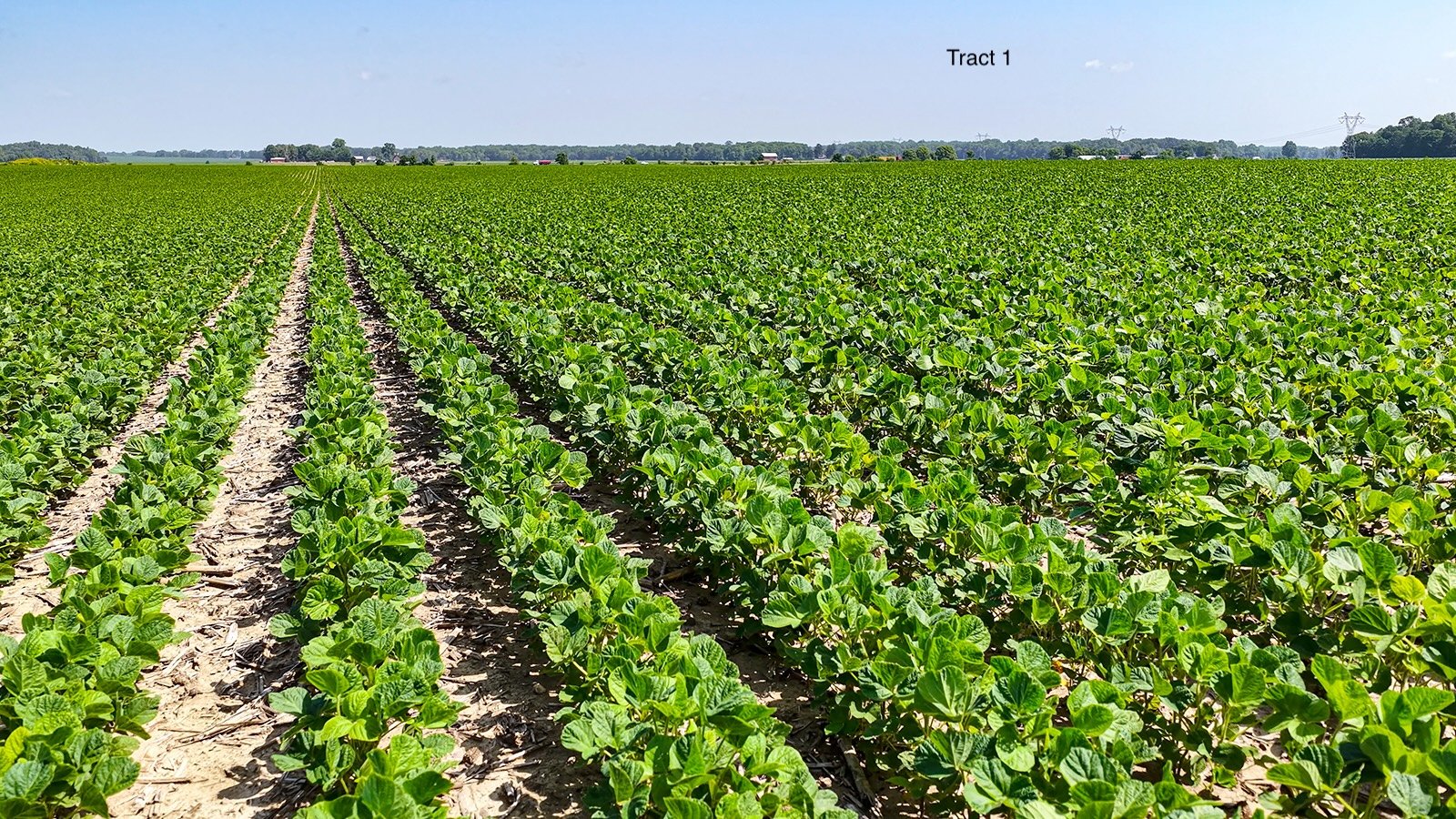 Property photo 12 - LAND AUCTION - 1,803.33+/-ACRES OFFERED IN 18 TRACTS IN KOSCIUSKO AND ELKHART COUNTY, INDIANA