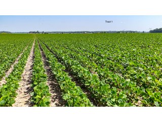 Property photo 12 - LAND AUCTION - 1,803.33+/-ACRES OFFERED IN 18 TRACTS IN KOSCIUSKO AND ELKHART COUNTY, INDIANA
