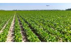 Property photo 12 - LAND AUCTION - 1,803.33+/-ACRES OFFERED IN 18 TRACTS IN KOSCIUSKO AND ELKHART COUNTY, INDIANA