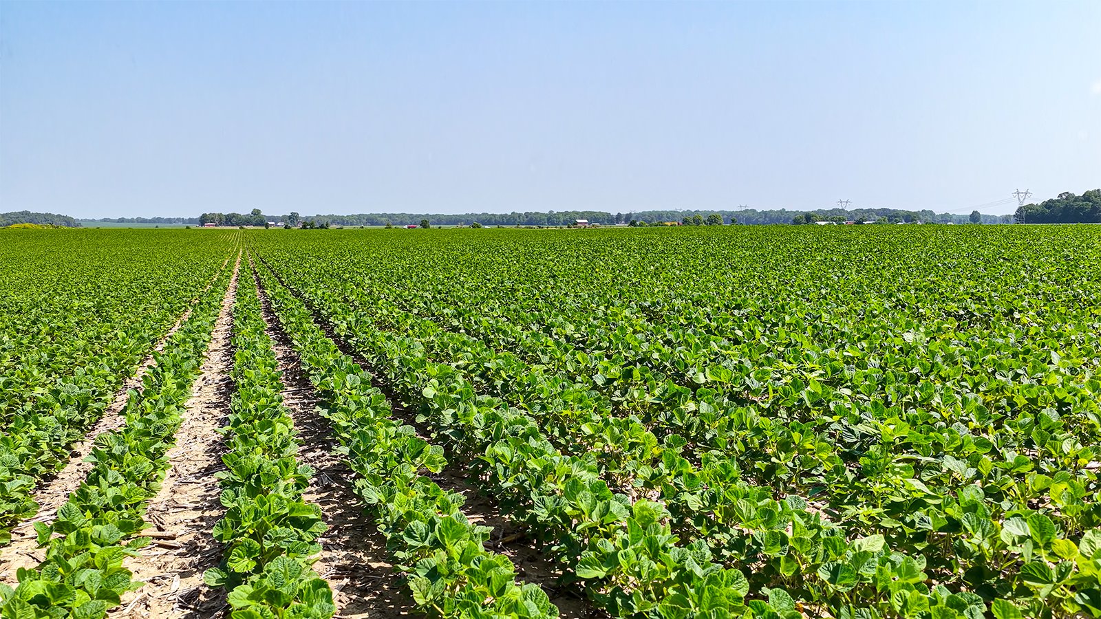 Property photo 7 - LAND AUCTION - 1,803.33+/-ACRES OFFERED IN 18 TRACTS IN KOSCIUSKO AND ELKHART COUNTY, INDIANA