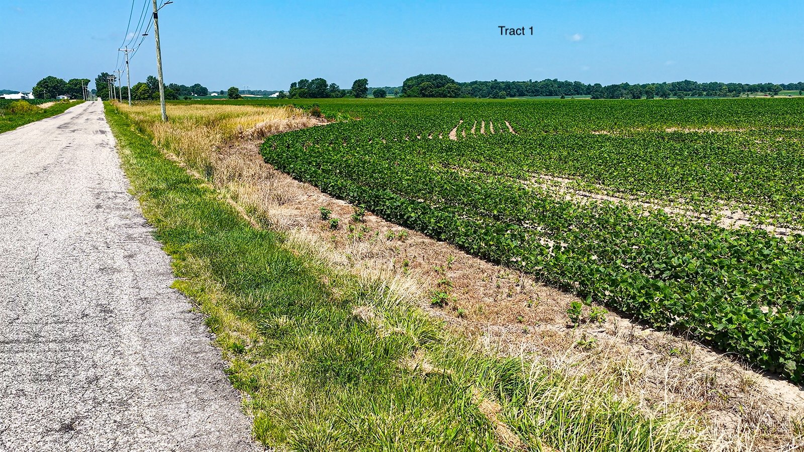 Property photo 13 - LAND AUCTION - 1,803.33+/-ACRES OFFERED IN 18 TRACTS IN KOSCIUSKO AND ELKHART COUNTY, INDIANA