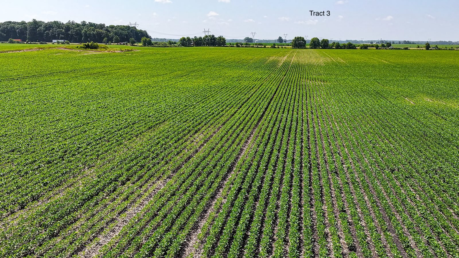 Property photo 24 - LAND AUCTION - 1,803.33+/-ACRES OFFERED IN 18 TRACTS IN KOSCIUSKO AND ELKHART COUNTY, INDIANA