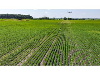 Property photo 24 - LAND AUCTION - 1,803.33+/-ACRES OFFERED IN 18 TRACTS IN KOSCIUSKO AND ELKHART COUNTY, INDIANA